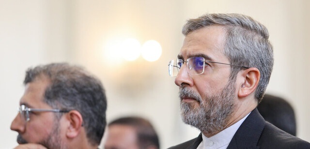 باقری: استخدام آلیه الزناد یدل على عجز أوروبا السیاسی