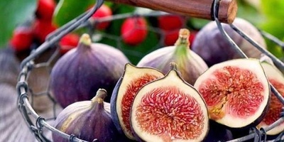 السعرات الحراریه فی التین، وقیمته الغذائیه، وفوائده الصحیه: ما تحتاج إلى معرفته