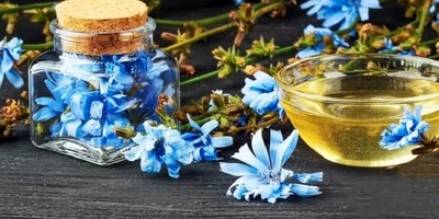 وصفه تحضیر شراب الهندباء المنزلی