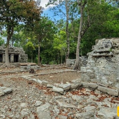 کشف تمثال محارب الثعبان فی معبد قدیم +صور