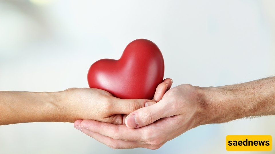 کم مره یُعتبر الجنس “طبیعیاً” أسبوعیاً؟ رؤى علمیه والعوامل المؤثره