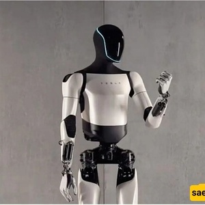 عندما تحل الروبوتات الصینیه محل البشر: من روبوتات الإرشاد للمکفوفین إلى القیاده الکامله بلا أخطاء فی الشوارع