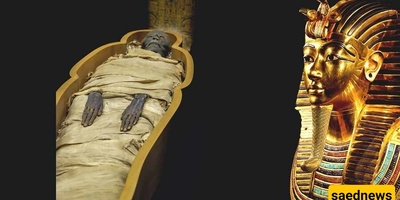 إعاده بناء مذهله بالذکاء الاصطناعی تکشف وجه والد توت عنخ آمون — نظره جدیده إلى مصر القدیمه عبر التکنولوجیا