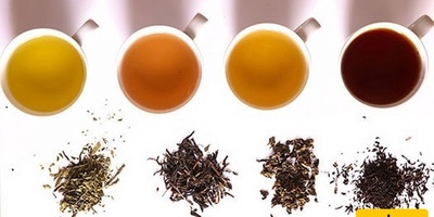 ما هو علاج ابن سینا لألم والتهاب المعده؟