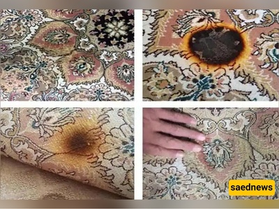 مفاجأه! المقص وقطرات من شامبو السجاد قد یعیدان السجاده إلى شکلها الطبیعی