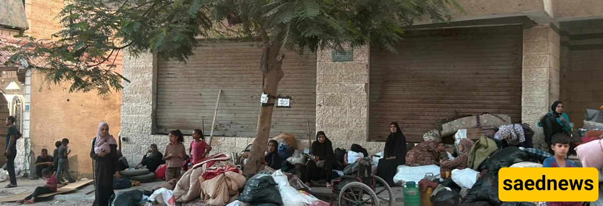 غزه