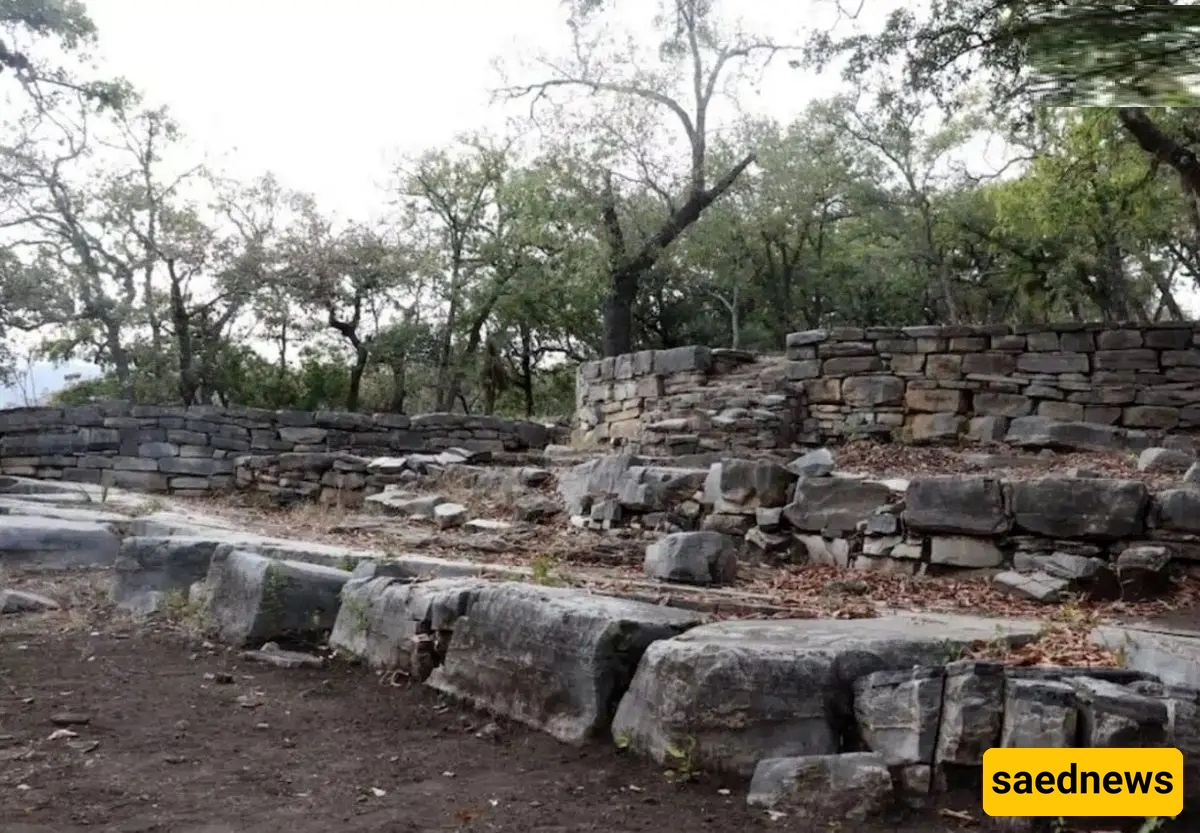 اکتشاف "جمجمه مربعه الشکل" عمرها 1500 عام فی المکسیک: دلیل على تعدیل الجمجمه المتعمد… مع صور