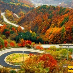 مناظر الخریف على طریق جالوس!