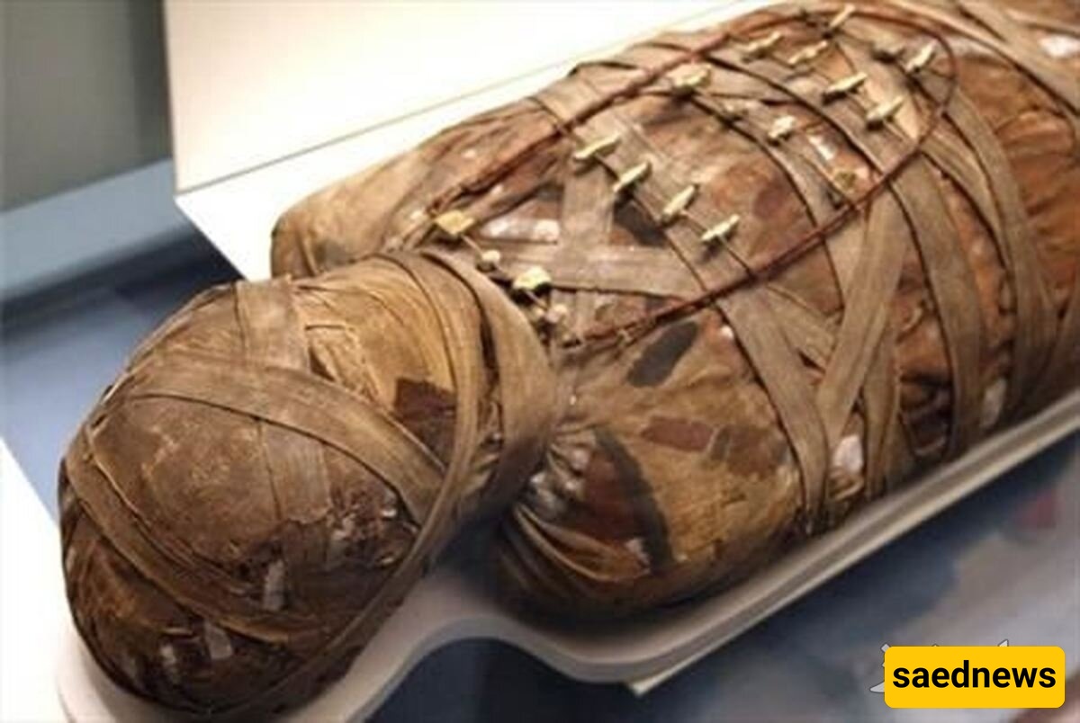 مومیاء عمرها 2000 عام وجمیع أعضائها الداخلیه سلیمه – أمر لا یُصدق! + صور