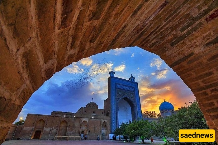 جامی