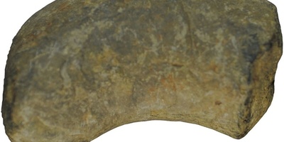 اکتشاف تمساح داخل «فضلات متحجره» عمرها 200 ملیون سنه! +صور