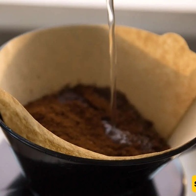 کیفیه ضمان صحه جذور نباتاتک باستخدام فلتر القهوه