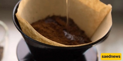کیفیه ضمان صحه جذور نباتاتک باستخدام فلتر القهوه