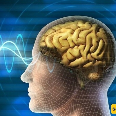 الأطباء یحذرون من العلاج بالعلقات: کیف یمکن لسوء الفهم أن یصبح خطیرًا