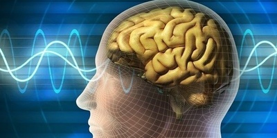 الأطباء یحذرون من العلاج بالعلقات: کیف یمکن لسوء الفهم أن یصبح خطیرًا