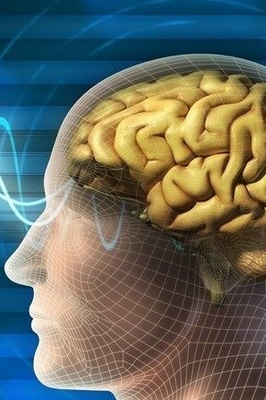 الأطباء یحذرون من العلاج بالعلقات: کیف یمکن لسوء الفهم أن یصبح خطیرًا