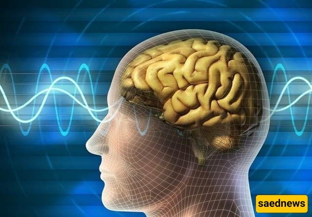 الأطباء یحذرون من العلاج بالعلقات: کیف یمکن لسوء الفهم أن یصبح خطیرًا