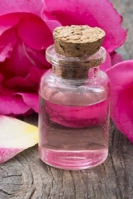 مقدمه إلى مراسم تقطیر ماء الورد وتوقیتها فی کاشان