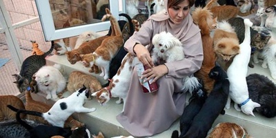 الحیاه غیر العادیه لامرأه عُمانیه تعیش مع 500 قط وکلب داخل منزلها