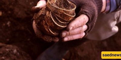 "فلاح متقاعد یعثر على کنز ضخم: أکبر مخزون کنوز یُکتشف على الإطلاق 🙄 + صور"