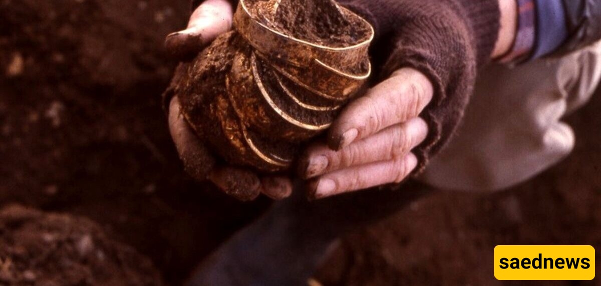 "فلاح متقاعد یعثر على کنز ضخم: أکبر مخزون کنوز یُکتشف على الإطلاق 🙄 + صور"