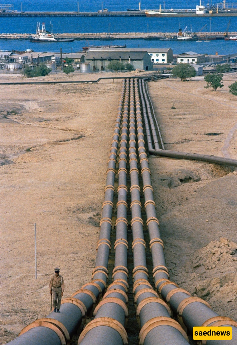 جزیره خارک