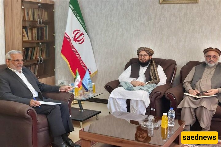 ایران تعلن عن نقل المحکومین الأفغان إلى بلادهم