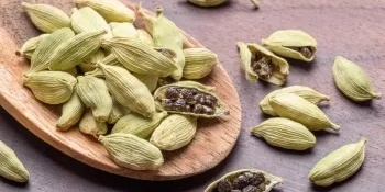 التخزین السلیم للهیل الأخضر (لمنع فقدان الرائحه والنکهه مع مرور الوقت)