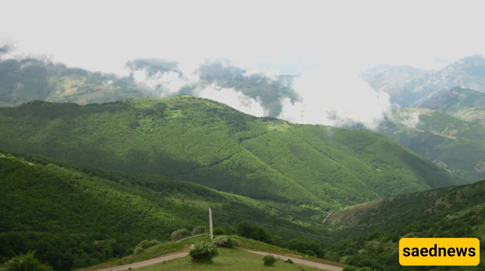 غابه دیزمار