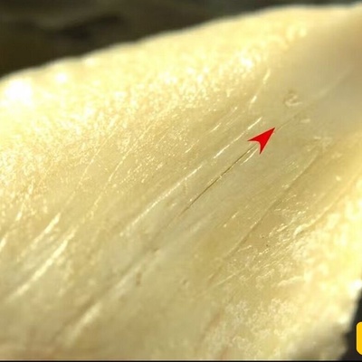 اکتشاف أسلحه عمرها 7000 عام مصنوعه من أسنان القرش