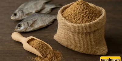 هل أنت على درایه بالفوائد المذهله لمسحوق السمک؟