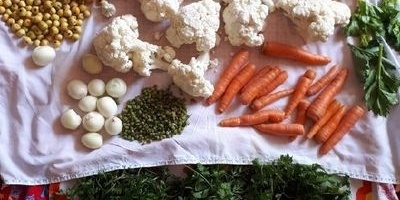 أی الأعشاب تجعل المخلل ألذّ؟ / الأعشاب المناسبه لتحسین نکهه کل نوع من المخللات