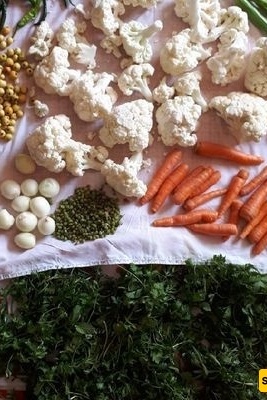أی الأعشاب تجعل المخلل ألذّ؟ / الأعشاب المناسبه لتحسین نکهه کل نوع من المخللات