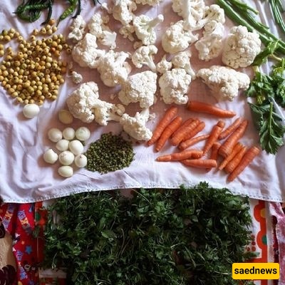 أی الأعشاب تجعل المخلل ألذّ؟ / الأعشاب المناسبه لتحسین نکهه کل نوع من المخللات