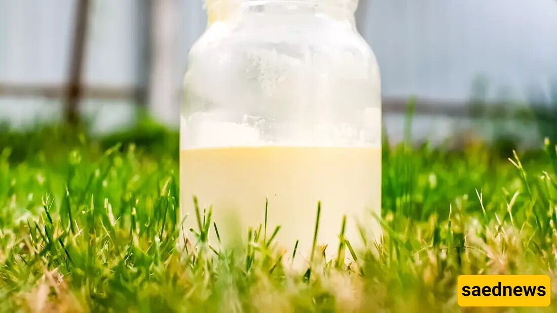 Raw Milk