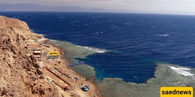 مخلوق غریب وغامض یشبه الأفعى یُعثر علیه على شاطئ مصری