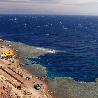 مخلوق غریب وغامض یشبه الأفعى یُعثر علیه على شاطئ مصری