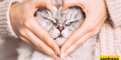 4 حیوانات ألیفه رائعه ستقعین فی حبها فی شقتک — من القطط إلى الهامستر + صور