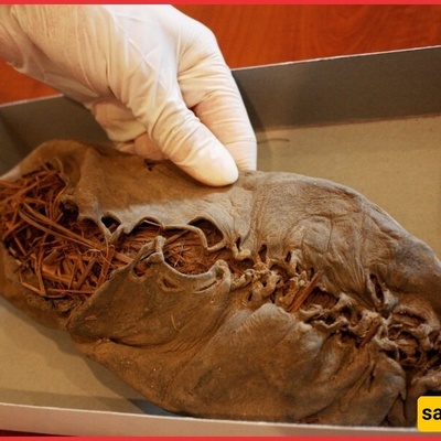 اکتشاف أقدم حذاء جلدی فی العالم عمره 5,500 عام فی کهف