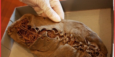 اکتشاف أقدم حذاء جلدی فی العالم عمره 5,500 عام فی کهف