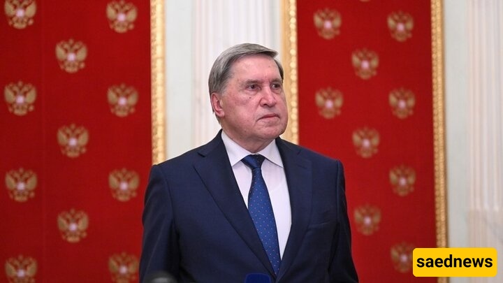 محادثات بوتین-ویتکووف: بنّاءه ومفیده للغایه، وفقًا لمساعد بوتین