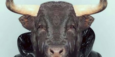 الفرق بین الأحمق والجاهل – قراءه تستحق حقًا