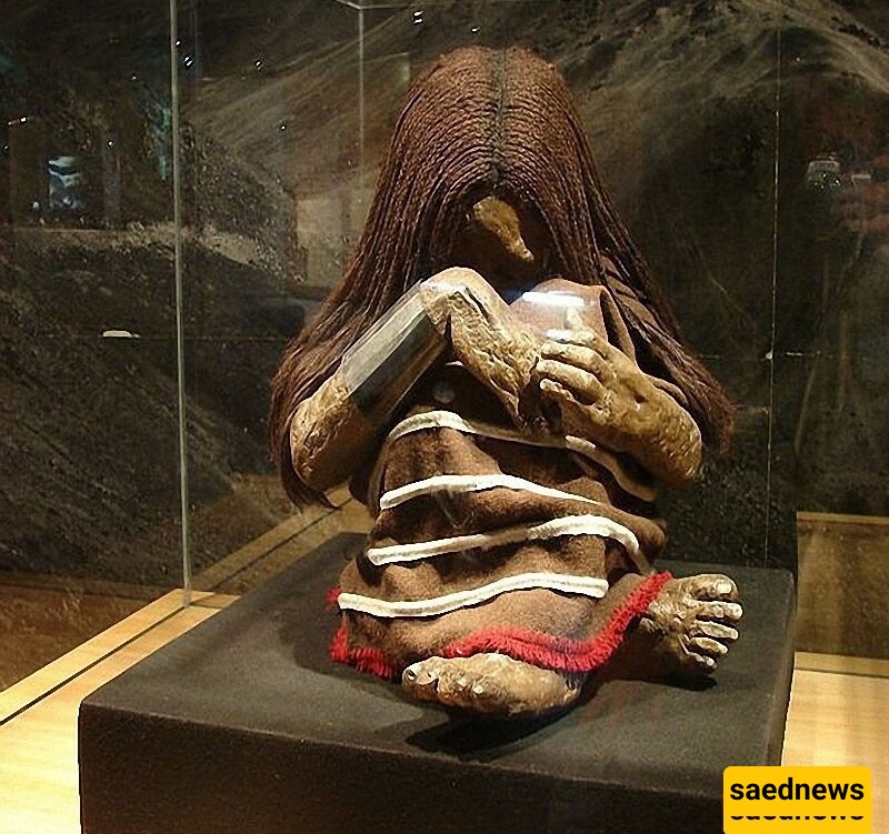 بلومو المومیاء: اکتشاف متجمد محفوظ بشکل استثنائی