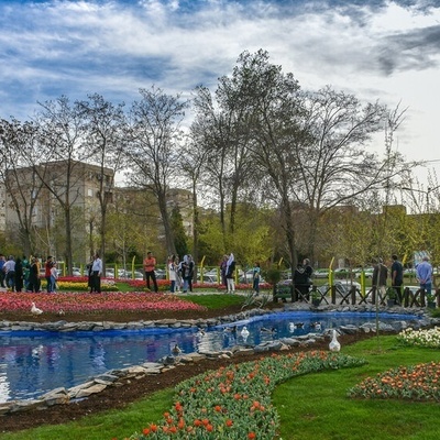 آراک: حیث تلتقی الجبال بجمال الصحراء