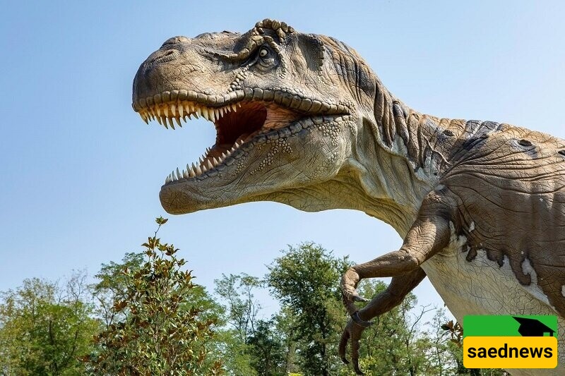 أقدم أحفوره لدیناصور فی العالم بعمر 233 ملیون سنه تُکتشف فی البرازیل بعد یوم ممطر [صور]