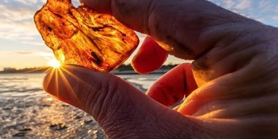 دلیل حجر الکهرمان: التاریخ، والخصائص، وکیفیه التعرّف على الکهرمان الأصلی