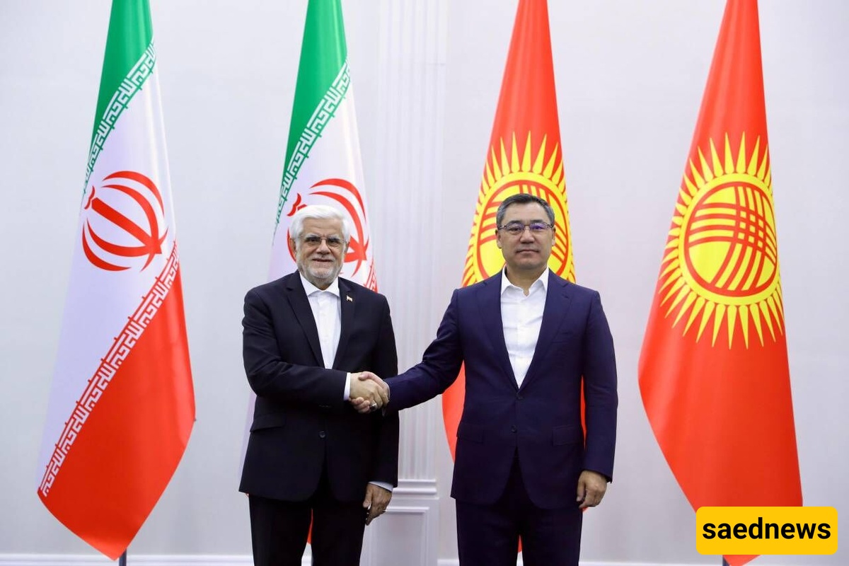 عارف: تضامن دول المنطقه یساهم فی رفع مستوى الأمن فی مواجهه التهدیدات الخارجیه