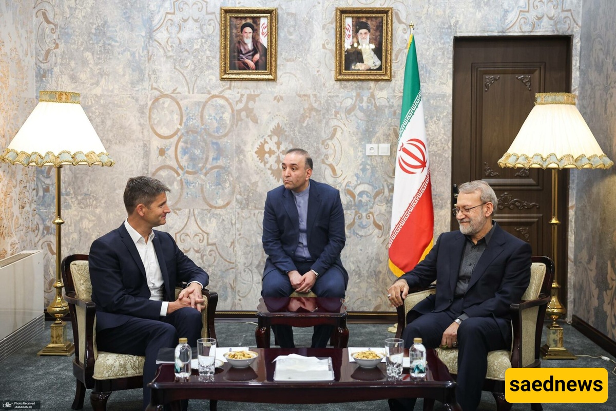 مستشار الأمن القومی السویسری یلتقی علی لاریجانی لبحث القضایا الإقلیمیه والنوویه