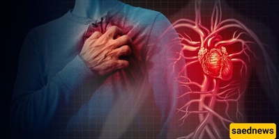 أسباب مشاکل القلب وطرق الوقایه من أمراض القلب والأوعیه الدمویه