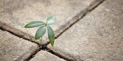 طرق زیاده البرکه والوفره فی المنزل